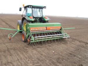 setva Tamisa u Institutu